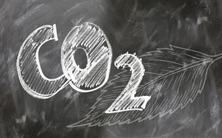 Выбросы CO2 в ФРГ упали до самого низкого уровня за 70 лет