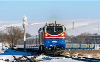 В Павлодарской области поезд сбил несколько лошадей