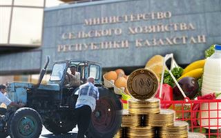 На казахстанский рынок законы экономики не действуют: почему цены на продукты растут день за днем