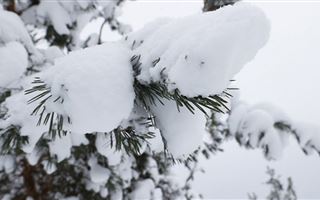 В Казахстане в ближайшие дни ожидается сильный снегопад