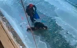В Усть-Каменогорске мужчина упал с моста