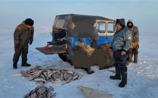 В Жетысуской области у браконьера изъяли более 120 кг незаконно добытой рыбы