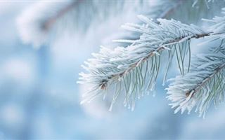 15 февраля в Казахстане ожидается морозная погода