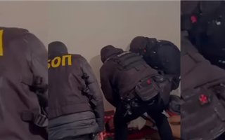 В Алматинской области задержали мужчину, который ворвался в дом и напал на детей