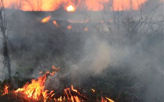 В Жетысуской области огнеборцы спасли от пожара двух детей