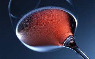 Во Франции производители вина вышли на акцию из-за низких цен на напиток