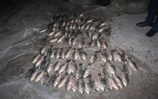 В Туркестанской области полицейские изъяли незаконно выловленную рыбу и сети