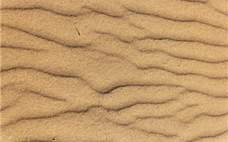 Швейцарию накрыла песчаная пыль из Сахары