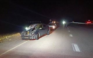 В Жетысуской области дорожную аварию спровоцировал бродячий скот