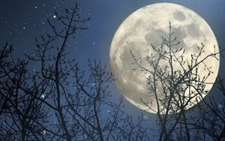 Как Луна и ее фазы влияют на наше здоровье
