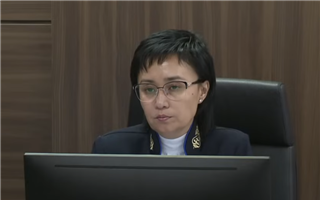 Два уголовных дела возбуждены по поводу угроз и клеветы в адрес судьи, ведущей процесс по делу Бишимбаева 