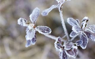 В Казахстан вернутся морозы до 8 градусов