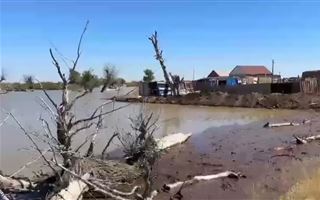 30 жителей зимовки эвакуируют в Атырауской области из-за повышения уровня воды в Жайыке