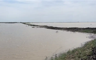Уровень воды в реке Жайык превысил критические отметки
