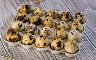 Партию перепелиных яиц из Китая пытались незаконно ввезти в Казахстан