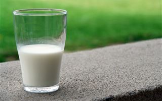 Молоко без документов вернули в Кыргызстан пограничники