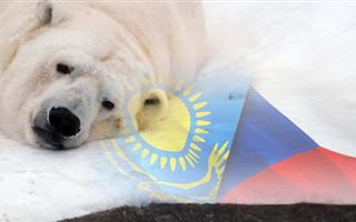 На пороге скандала: угрожает ли смерть медведя Тома международным отношениям Казахстана и Чехии