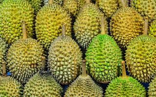 Три тонны вонючего фрукта уничтожат ради сохранения репутации Таиланда