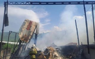 Четыре тонны кукурузы сгорели в Алматинской области