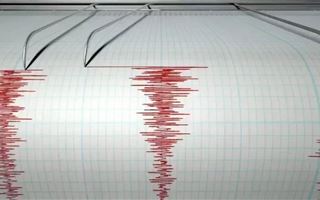 Жители Тараза и Шымкента ощутили землетрясение