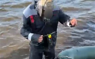 В Акмолинской области спасли тонущего рыбака
