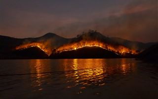 В Турции бушуют лесные пожары