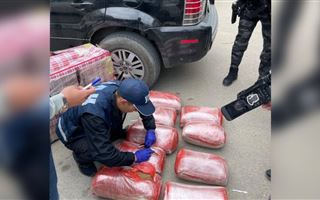 В Актау полицейские изъяли более 79 кг марихуаны 
