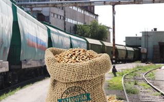Российская компания оказалась доминирующей на перевозках казахстанского зерна