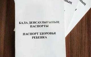 В Казахстане Паспорт здоровья ребенка переведут в электронный формат