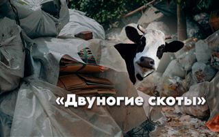«Двуногие скоты»: чиновник из Шымкента обозвал казахстанцев - обзор казпрессы