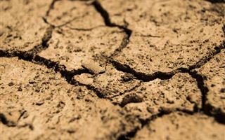 Стало известно, каким регионам грозит засуха в августе