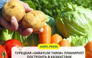 В Казахстане хотят построить овощехранилище на 5000 тонн
