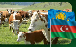 Казахстанские производители смогут экспортировать молоко в Азербайджан