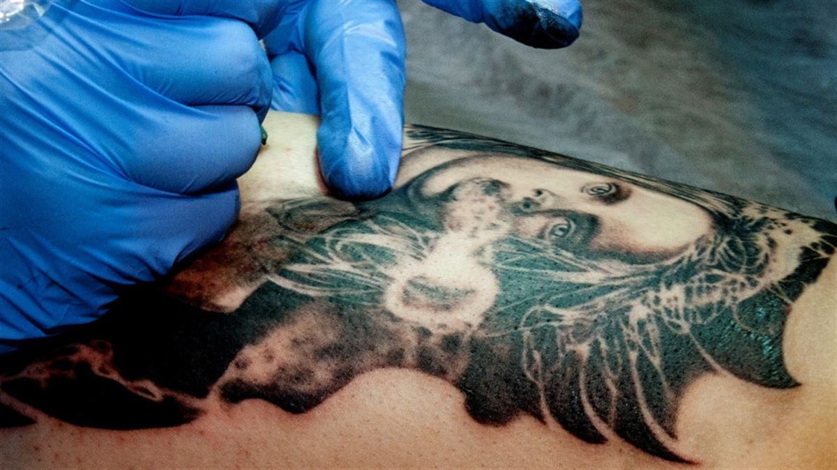 Любительница животных сделала татуировки с прахом умерших питомцев - Новости | Караван