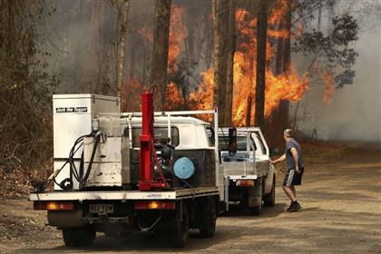 В Австралии из-за лесных пожаров погибли полмиллиарда животных