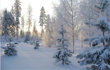 14 января во многих регионах РК пройдет снег