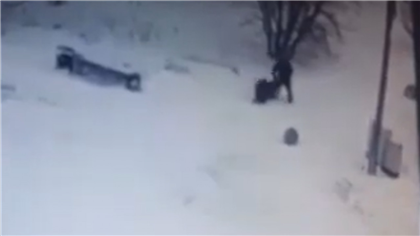В казнете распространяется видео нападения на девушку в Темиртау