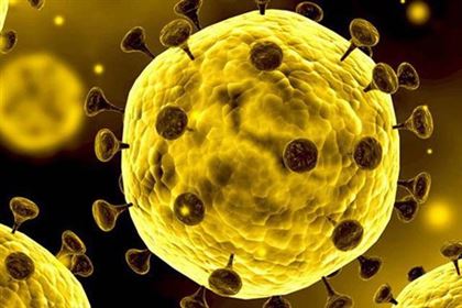  3,9 миллиарда долларов выделили на борьбу с коронавирусом в Китае