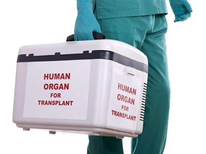 Тайны трупной трансплантации: станет ли случайно погибший на трассе человек донором органов