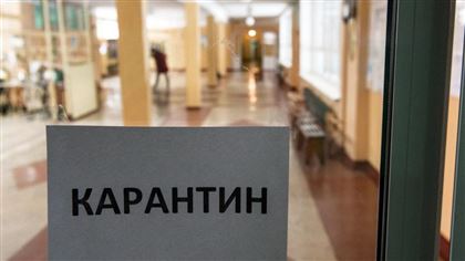 В Петропавловске из-за гриппа и ОРВИ на карантин закрывают школы