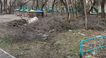 "С такой антисанитарией не только коронавирус появится": казахстанцы жалуются на мусор и грязь во дворах