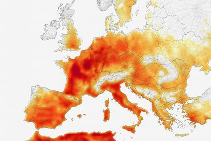 От экстремальной жары пострадают более миллиарда человек, заявляют ученые