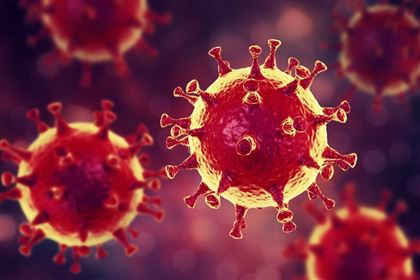 Подтвердился первый случай смерти от коронавируса в Турции