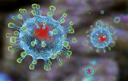 Ученые выяснили как долго остается коронавирус в организме человека