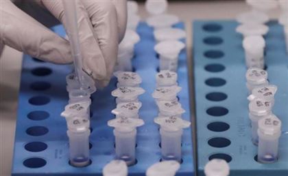 В РК откроют новые лаборатории для определения вируса COVID-19