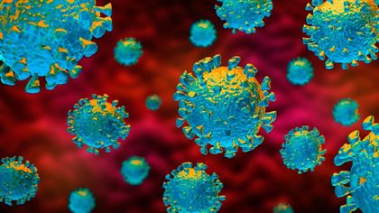 В РК увеличилось число заболевших коронавирусом до 525 человек
