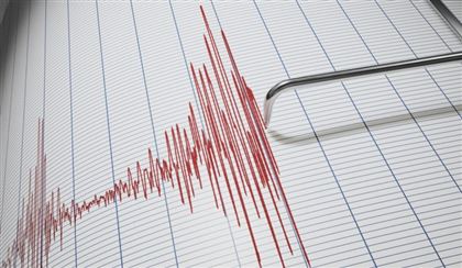 Землетрясение магнитудой 3,8 произошло в 198 км от Алматы