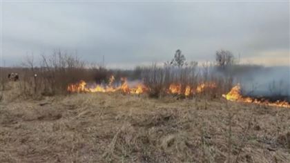 Степные пожары бушуют на севере Казахстана 