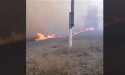 В СКО лесной пожар перекинулся на села