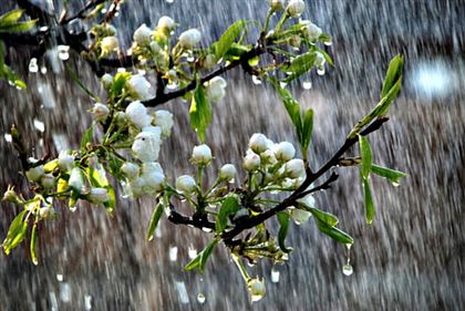 27 апреля в РК местами пройдут дожди